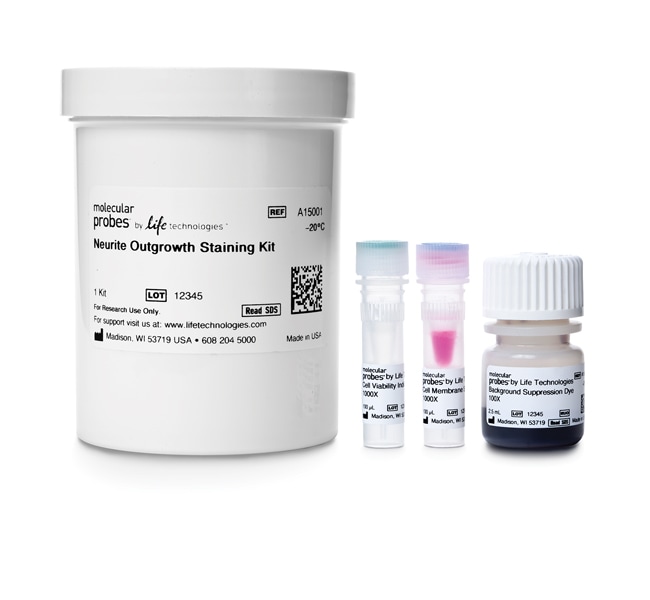 1000RXN NEURITE OUTGROWTH STAINING KIT .